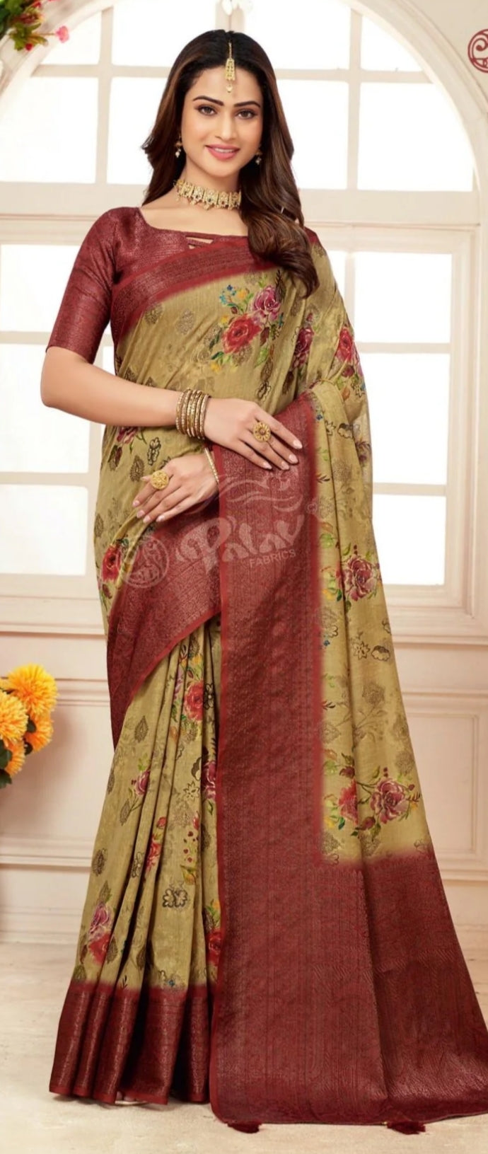 Woman Wearing a Traditional Saree