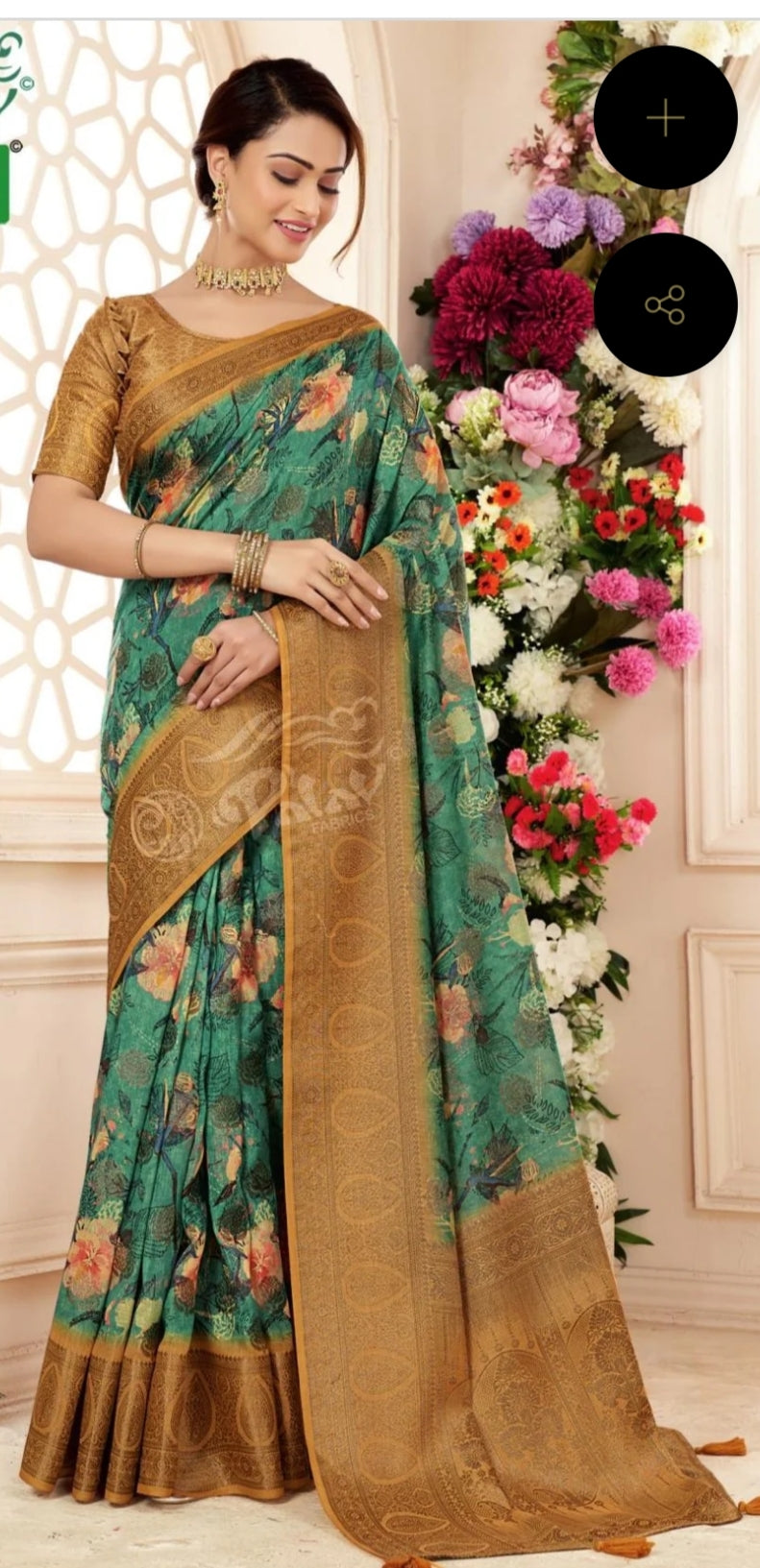 Woman Wearing a Traditional Saree