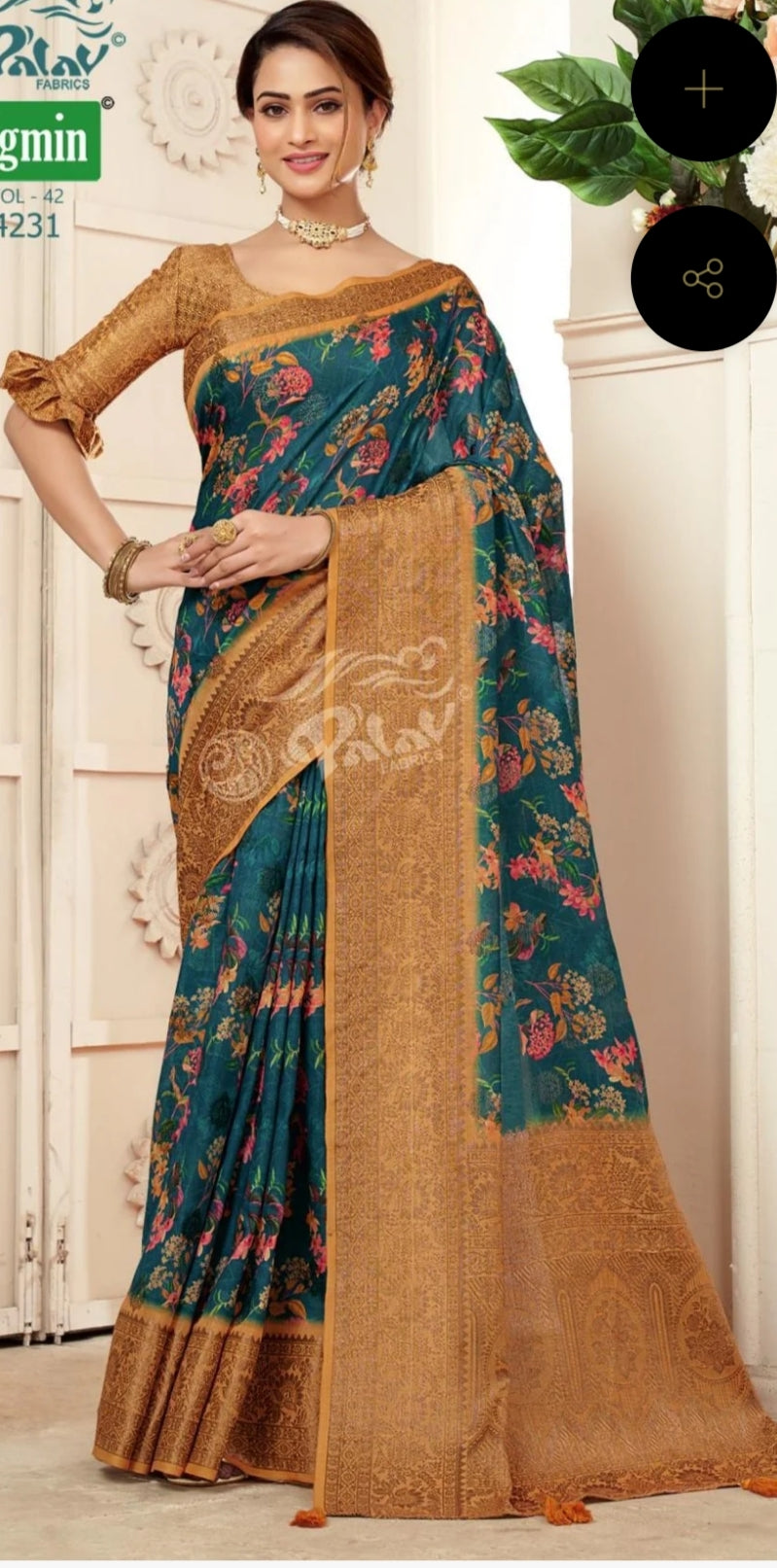 Woman Wearing a Traditional Saree