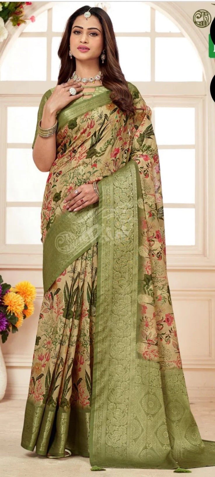 Woman Wearing a Traditional Saree