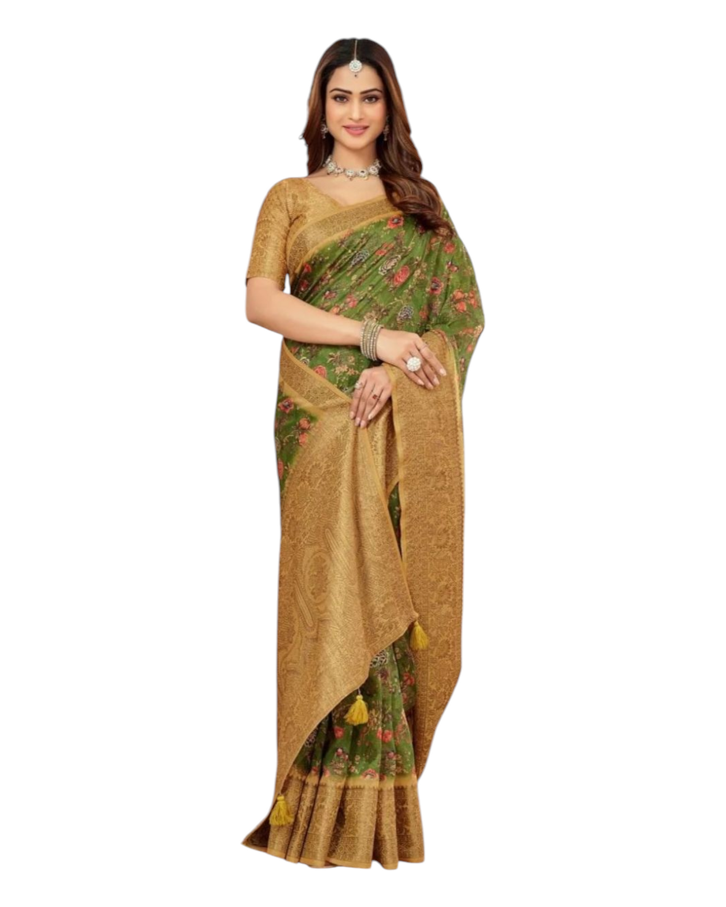 Woman Wearing a Traditional Saree