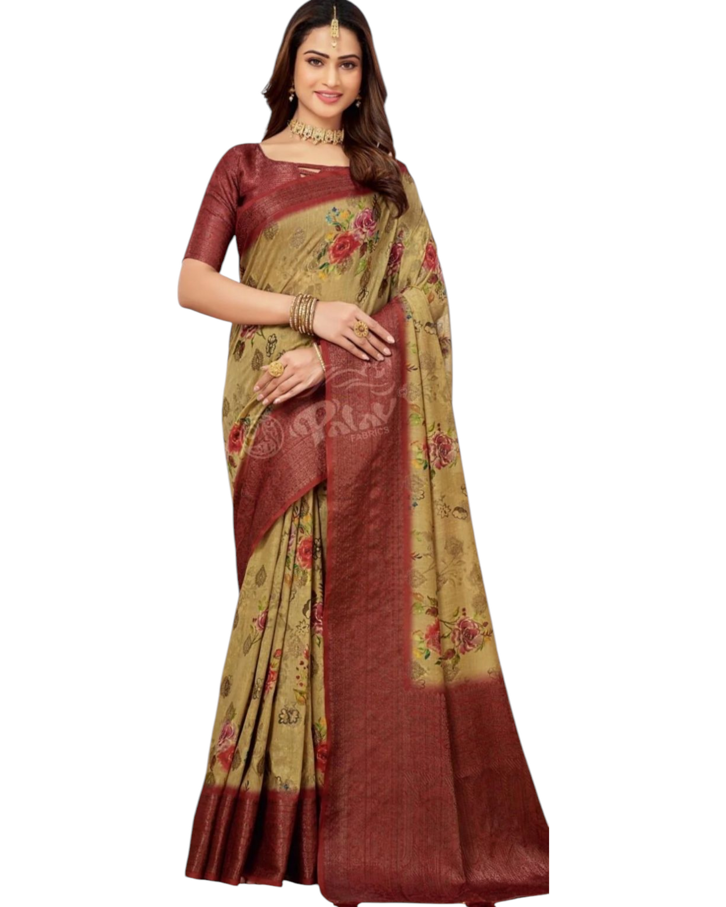 Woman Wearing a Traditional Saree